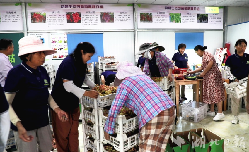 ag下载网址